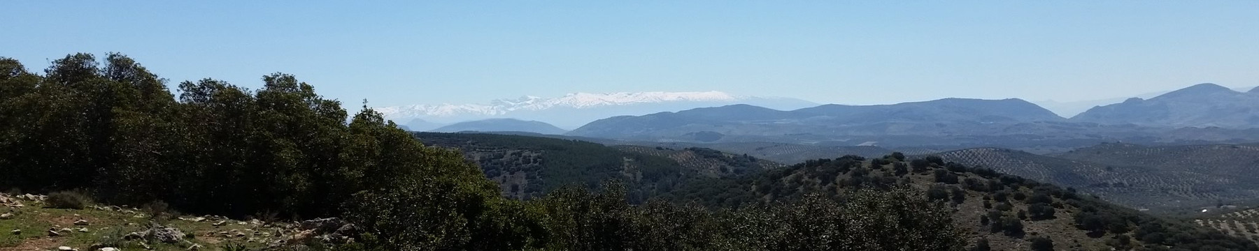 Agricentro Garrido Mudarra