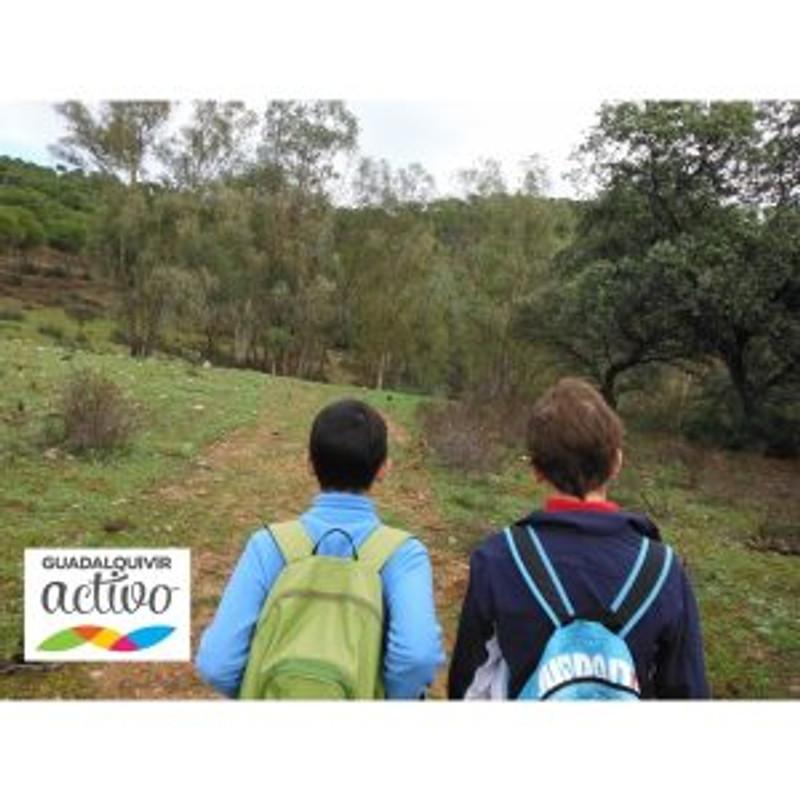 Guadalquivir Activo 1