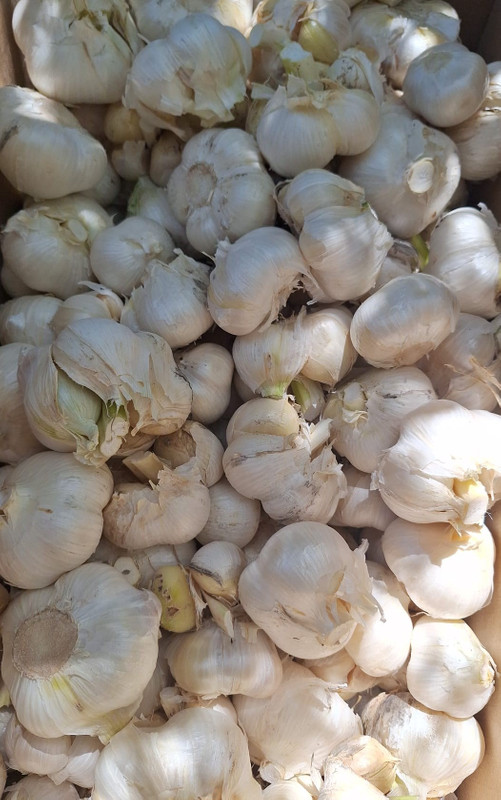 Caja de Ajos Picantes para Cocina – 2 kg