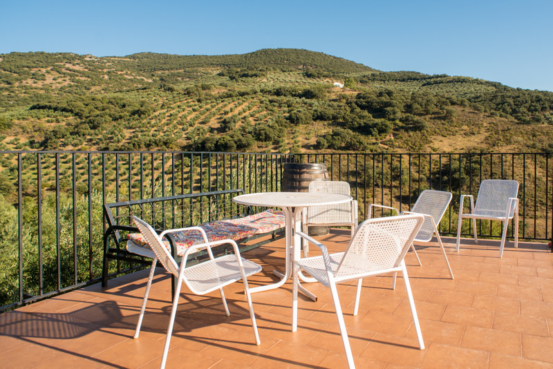 Cortijo Rural Majolero 13