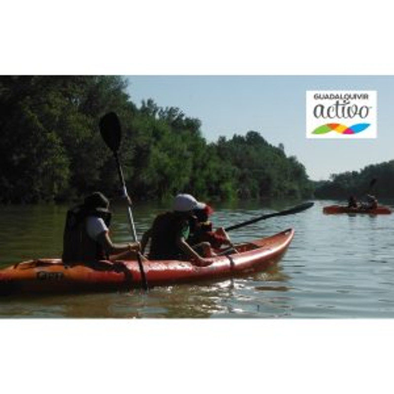 Guadalquivir Activo 0